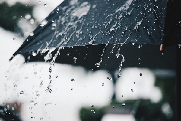8 მაისამდე საქართველოში მოსალოდნელია დროგამოშვებით წვიმა და ელჭექი