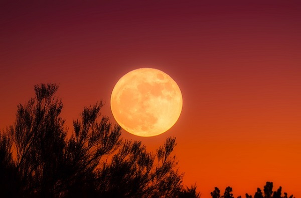 რას ნიშნავს „სრული ვარდისფერი მთვარე“ და როდის შეძლებთ მის ხილვას