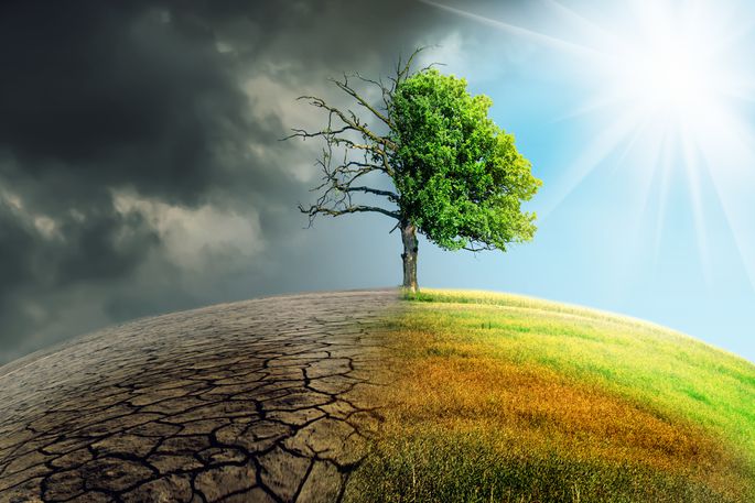 დედამიწის კლიმატის ცვლილება ბოლო ხუთი წლის განმავლობაში: საგანგაშო ტენდენციები და გამოწვევები
