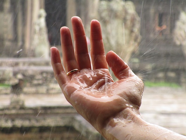 5 გასაოცარი ფაქტი წვიმის შესახებ: ბუნებრივი ფენომენი, რომელიც შთაგვაგონებს და გვაოცებს