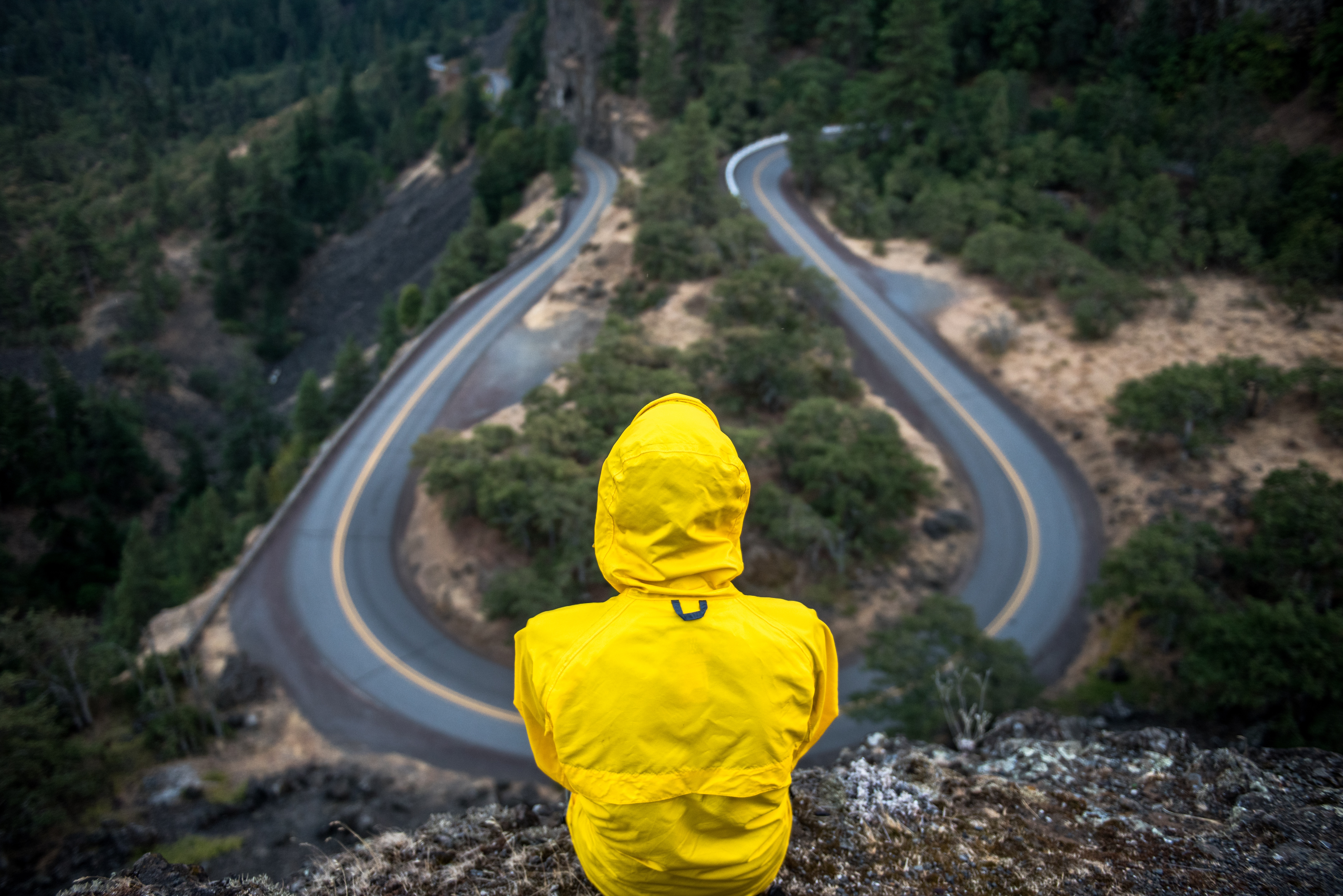 5358229-person-road-forest-man-woman-winding-road-rock-wind-curve-turn-bokeh-cliff-edge-yellow-tree-outdoor-cloud-alone-loneliness-human-png-images-1686033982.jpg