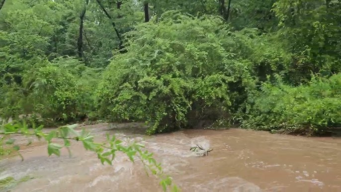 3-5 აგვისტოს წვიმებმა პატარა მდინარეებზე - წყალმოვარდნები, ხოლო ქვეყნის მთიან ზონებში მეწყრულ-ღვარცოფული პროცესების ჩასახვა-გააქტიურება შეიძლება გამოიწვიოს
