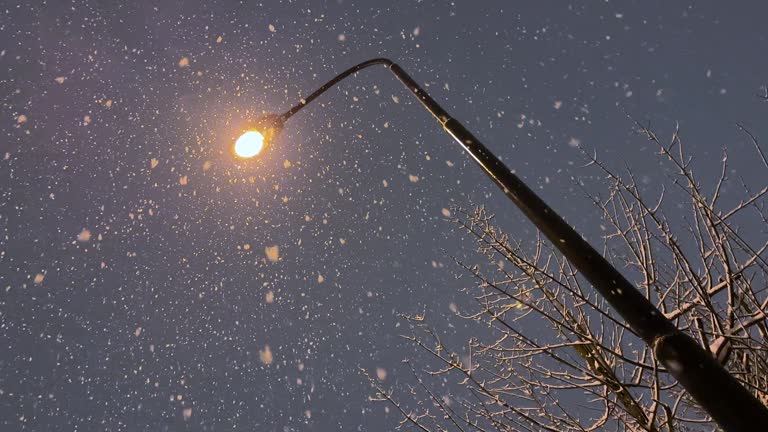 საქართველოში ამინდი გაუარესდება, თუმცა ჯერ ყინვა არაა მოსალოდნელი - უახლოესი დღეების ამინდის პროგნოზი