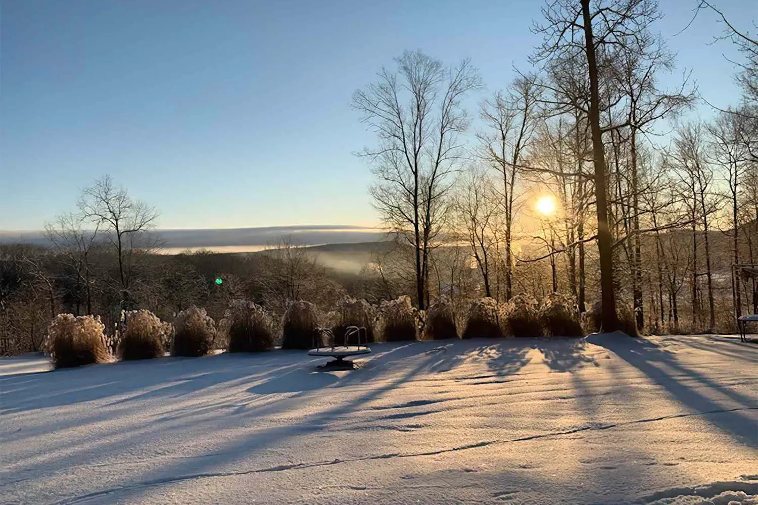 თბილი ზამთარი — კომფორტი თუ საფრთხე?