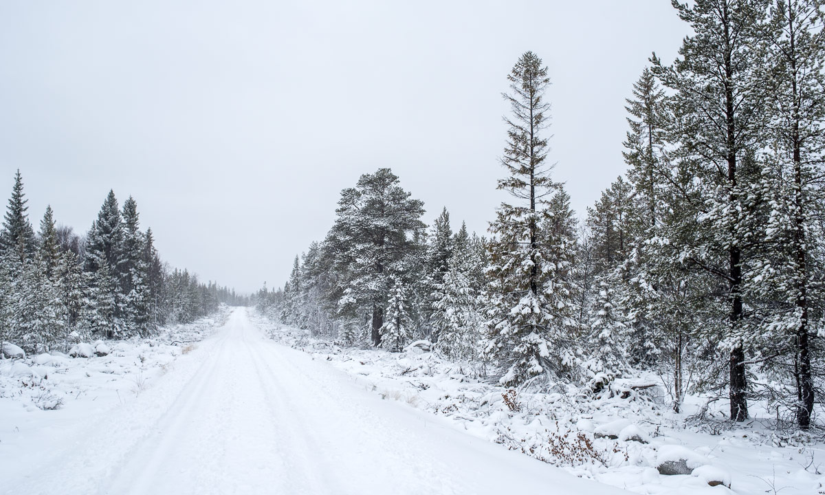 ზოგან - წვიმა, ზოგან - თოვლი - გაიგეთ, როგორი ამინდი იქნება საქართველოში