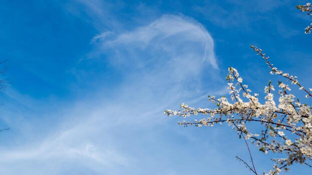 ამინდის პროგნოზი საქართველოს რაიონების მიხედვით