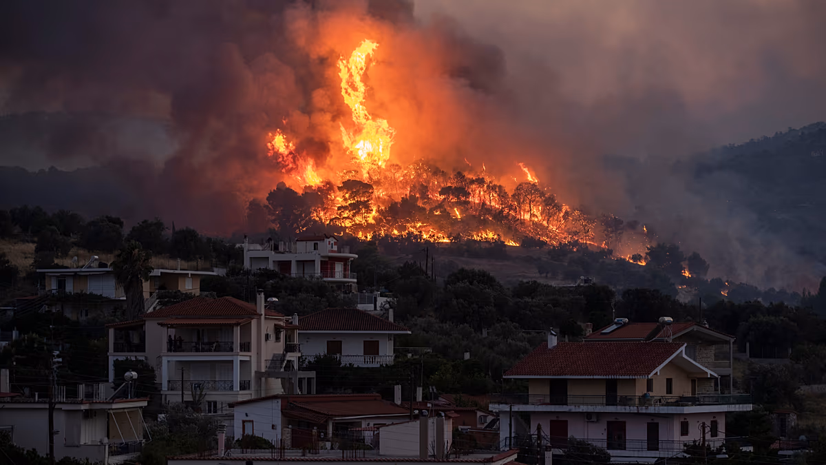 გვალვა და ექსტრემალური სიცხე ევროპაში ტყის ხანძრების რისკს ზრდის – მიმდინარე კვირაში უკვე რამდენიმე შემთხვევა დაფიქსირდა